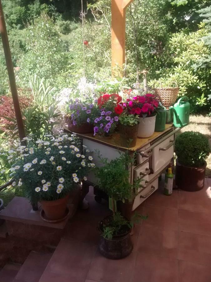 Casa La Collina Delle Ginestre Daire Eberbach  Dış mekan fotoğraf