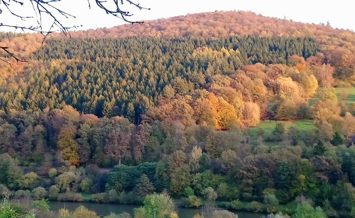 Casa La Collina Delle Ginestre Daire Eberbach  Dış mekan fotoğraf